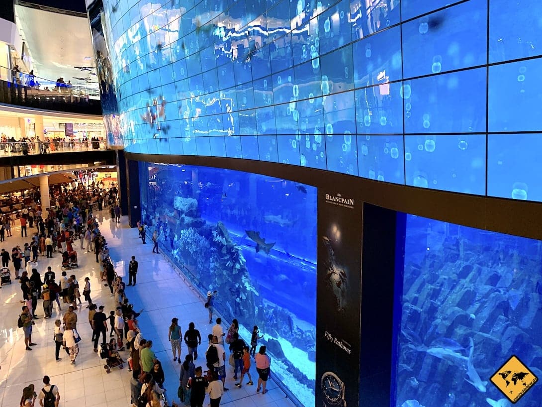 Dubai Mall 10 Dinge Die Du In Dubais Shopping Center Tun Kannst