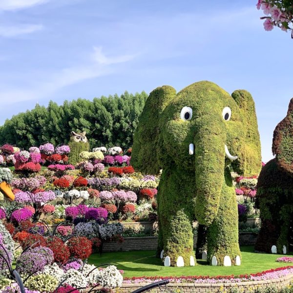 Dubai Miracle Garden Blumen Elefant