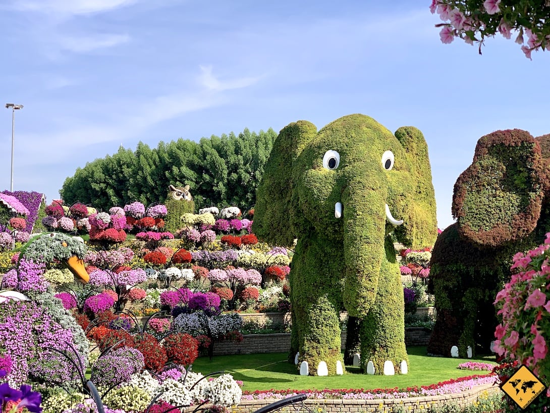 Miracle Garden Dubai 6 Dinge Die Du Vor Deinem Besuch Wissen Musst