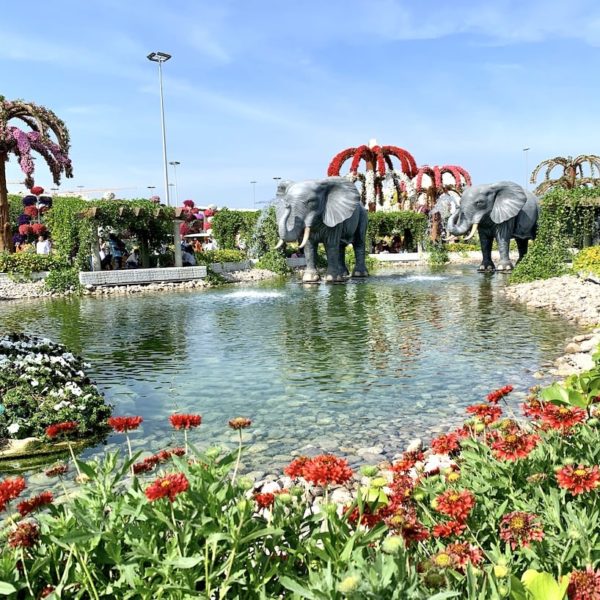 Dubai Miracle Garden Teich