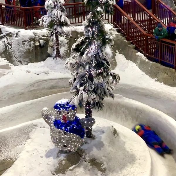 Dubai Ski Mall of the Emirates Rodelbahn