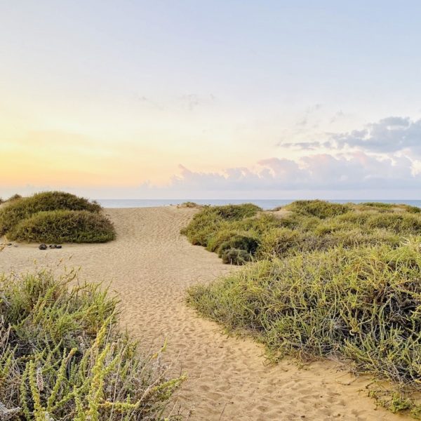 Dünen Playa Jarugo