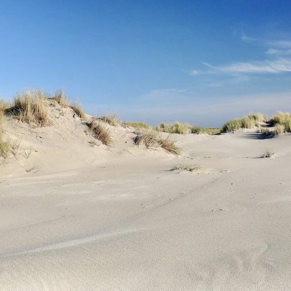 Dünen Spiekeroog Ostfriesland