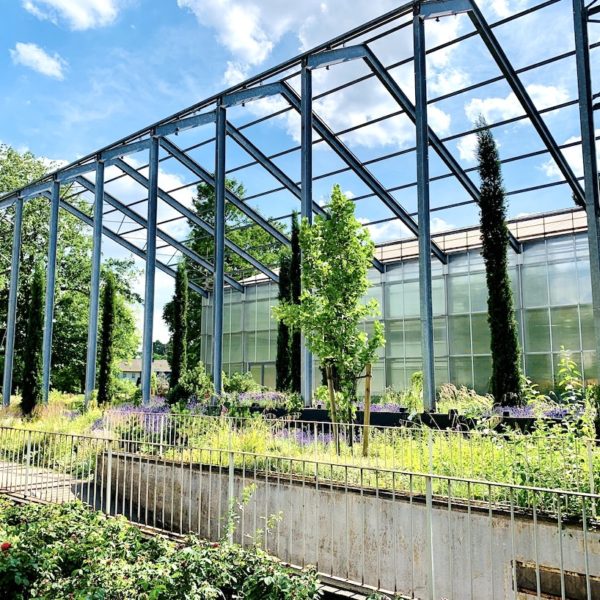 Duisburg botanischer Garten Hamborn