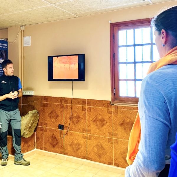 Einführung Tour Cueva del Viento Icod de los Vinos Besucherzentrum