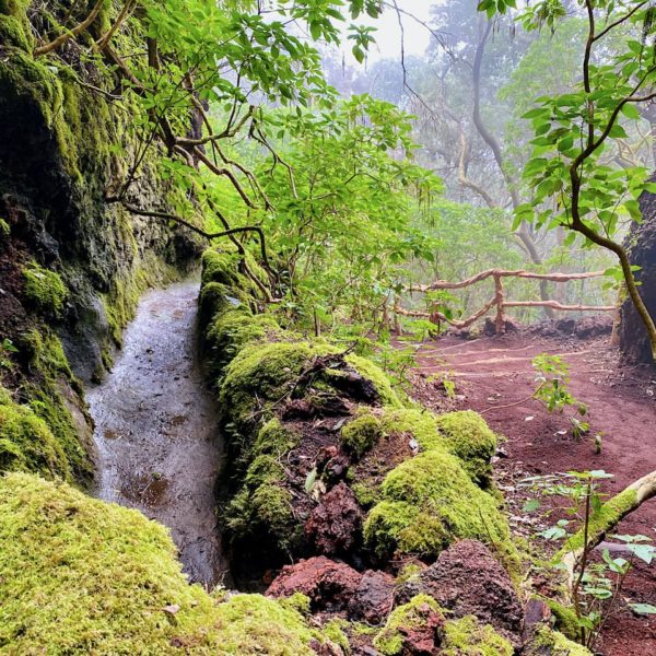 El Hierro Sehenswürdigkeiten Fuente Mencafete
