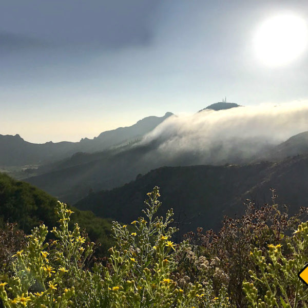 El Tanque Landschaft Teneriffa Geheimtipps