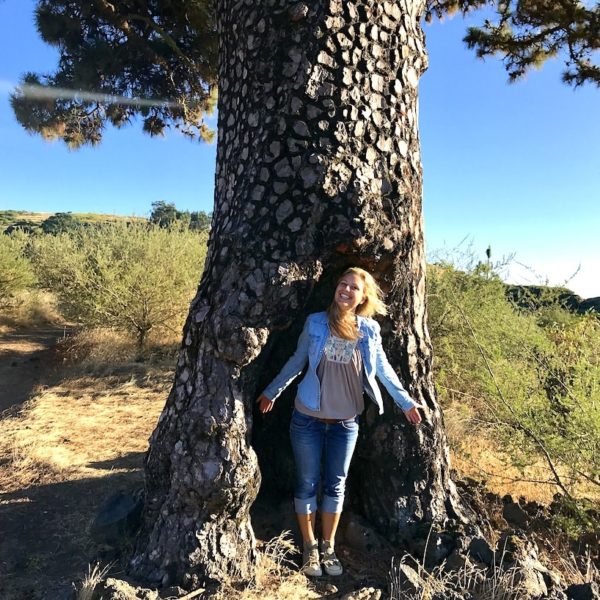 El Tanque Teneriffa wandern Baum