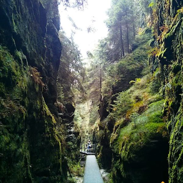 Elbsandsteingebirge Schwedenlöcher wandern