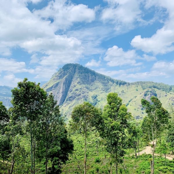 Ella Rock Sri Lanka