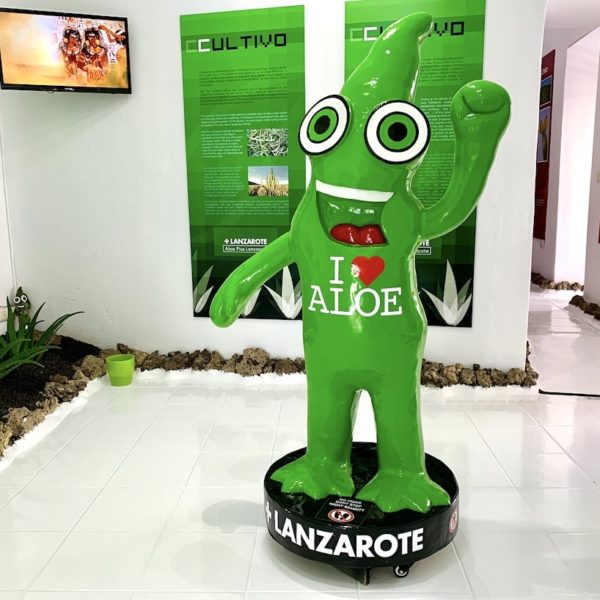 Figur Aloe Vera Museum Teguise