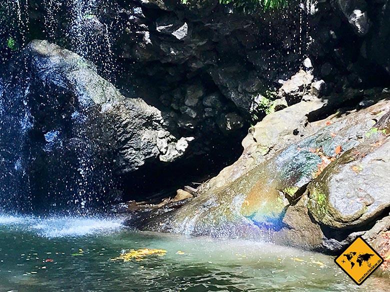 Fisch Bemalung Lombok Wasserfall Tiu Pituq