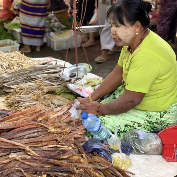 Fisch Inle See Sehenswürdigkeiten Markt