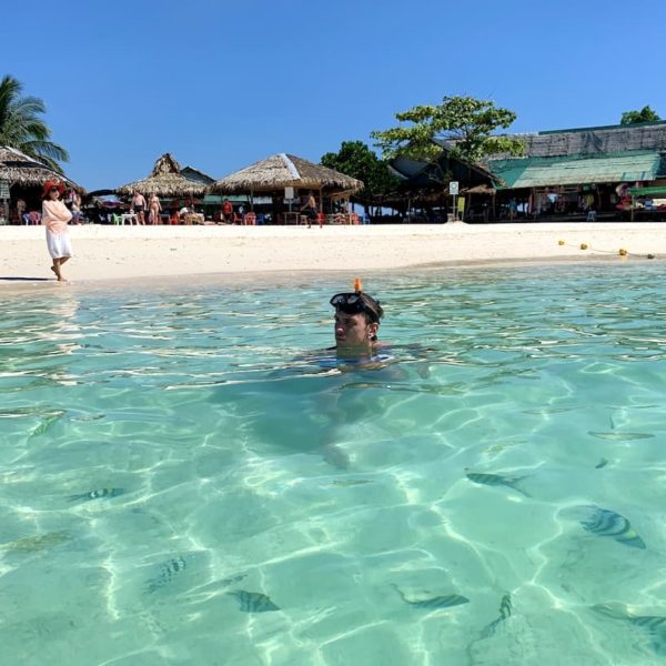 Fische Strand Meer Khai Nai Island Thailand