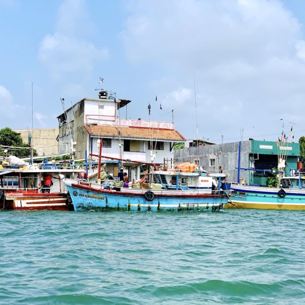 Fischerboote Negombo Sri Lanka