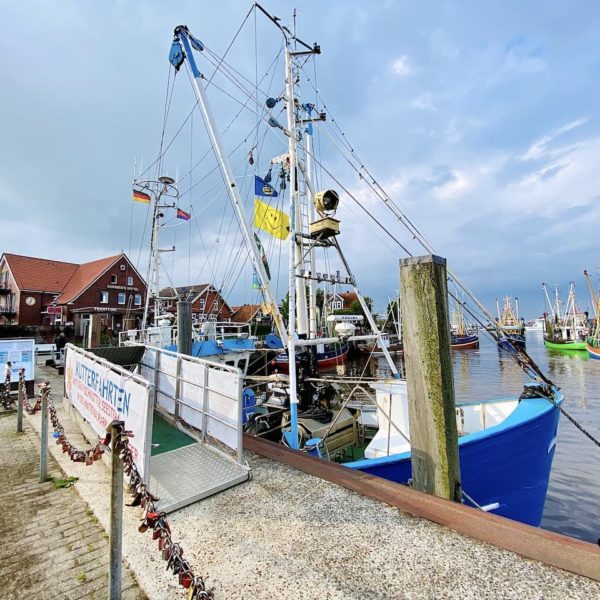 Fischkutter Seestern Hafen Neuharlingersiel