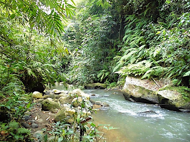 Flitterwochen Bali