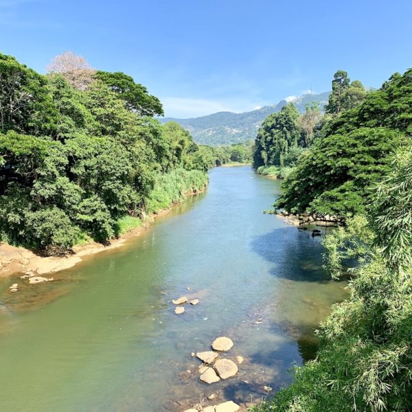 Fluss Kandy Sri Lanka