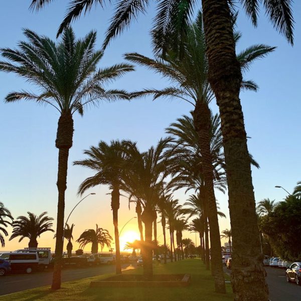 Fuerteventura Morro Jable Sonnenuntergang Palmen