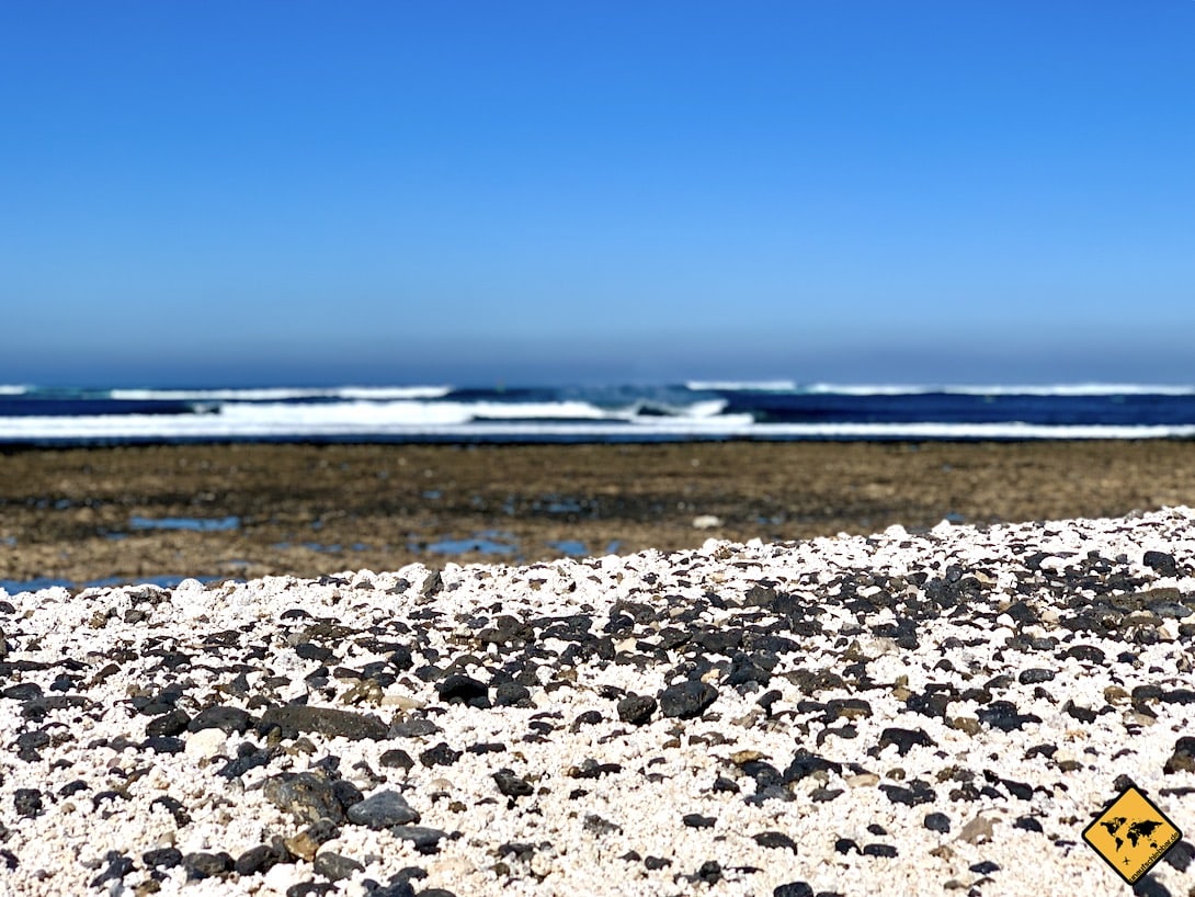 Fuerteventura Popcorn Strand kanarische Inseln
