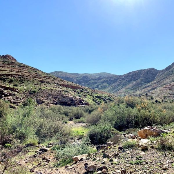 Fuerteventura Sehenswürdigkeiten Barranco de las Peñitas