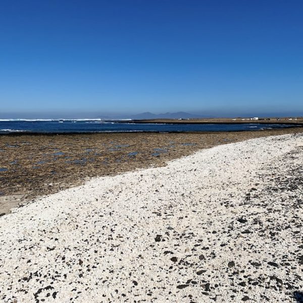Fuerteventura Sehenswürdigkeiten Playa El Majanicho Popcorn Strand