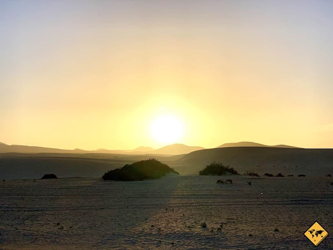 Fuerteventura oder Teneriffa Sanddünen Corralejo