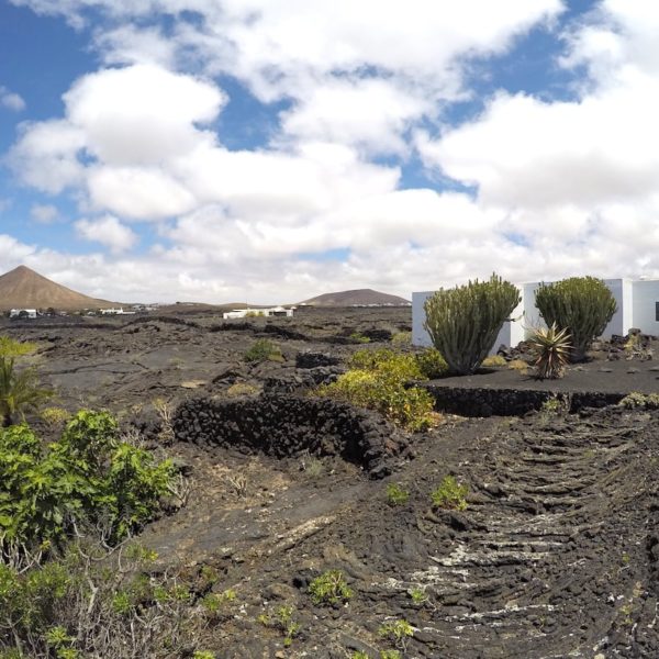 Fundación César Manrique Lanzarote Außenbereich
