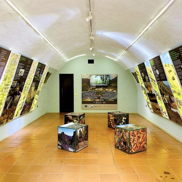Garajonay Nationalpark Besucherzentrum Ausstellung