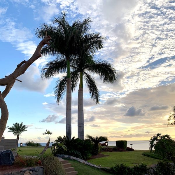 Garten Ritz-Carlton Playa Abama Teneriffa