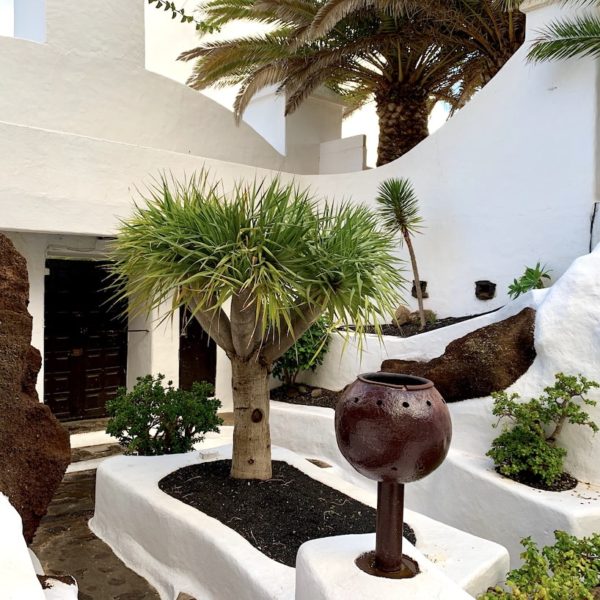 Gartenbereich LagOmar Lanzarote