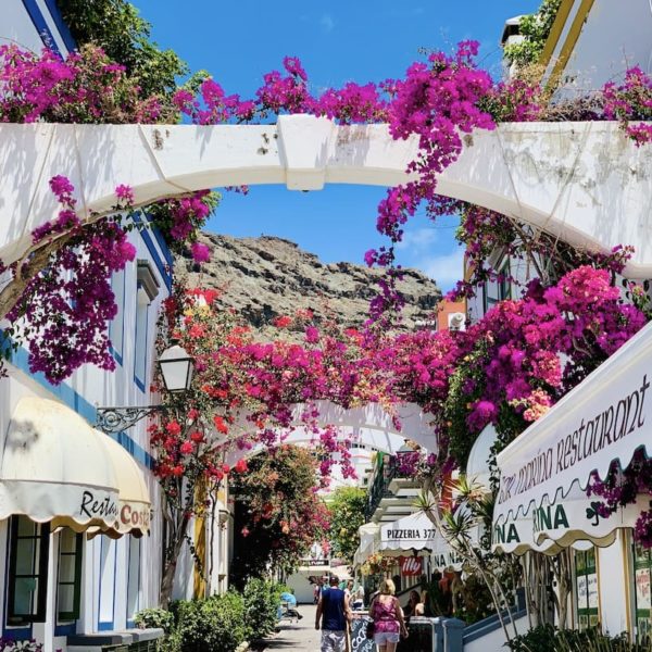 Gasse Blumen Gran Canaria Puerto de Mogán