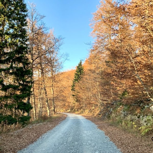 Gebirgsstraße Nationalpark nördlicher Velebit