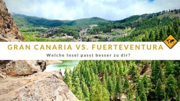 Gran Canaria oder Fuerteventura – Welche Insel passt besser zu dir?