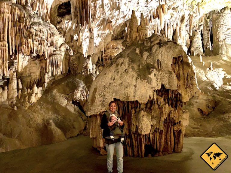 Postojna Höhle in Slowenien Top 10 Infos & Erfahrungen