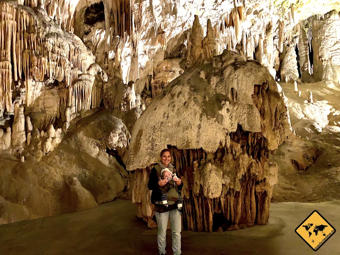 Großer Tropfstein Postojna Höhle Slowenien