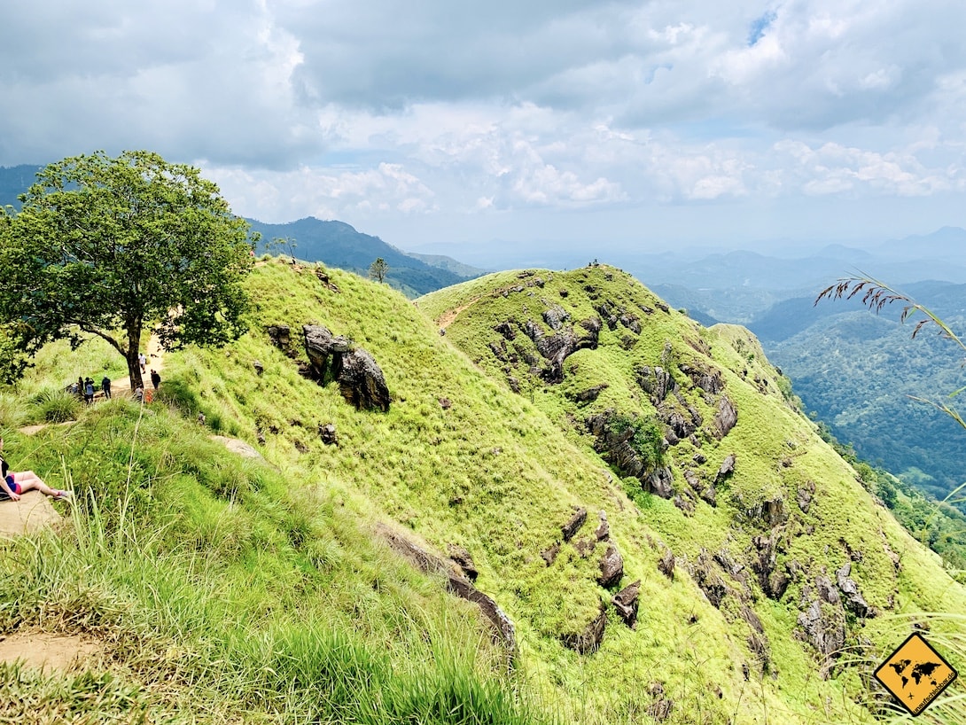 Grüne Hügel Gipfel Little Adam's Peak