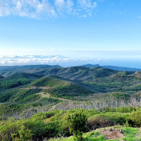Grüne Hügel La Gomera Blick von Alto de Garajonay