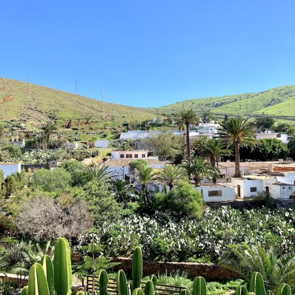 Grüne Natur Betancuria Fuerteventura