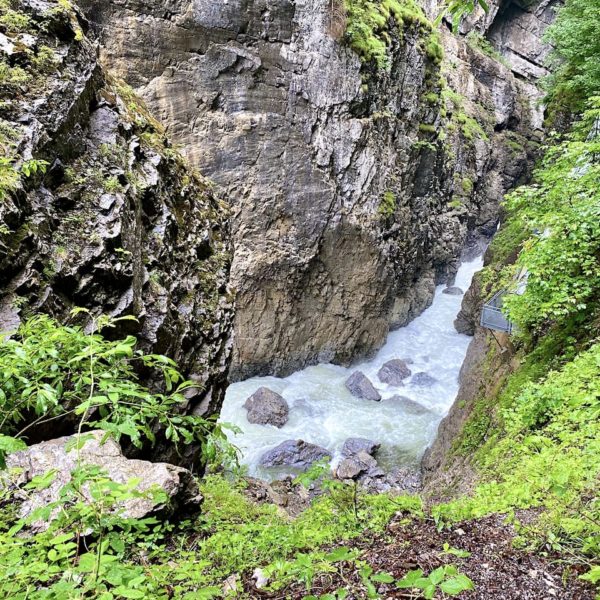 Grüne Natur Breitachklamm Sommer