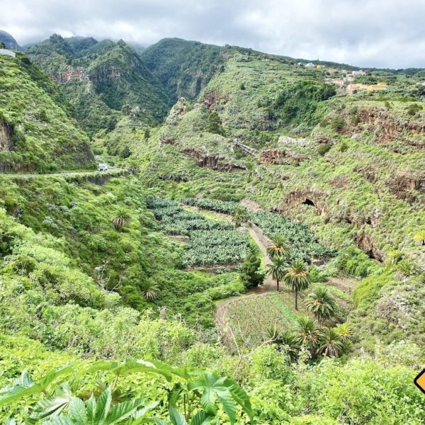 Grüne Natur LP-1 La Palma