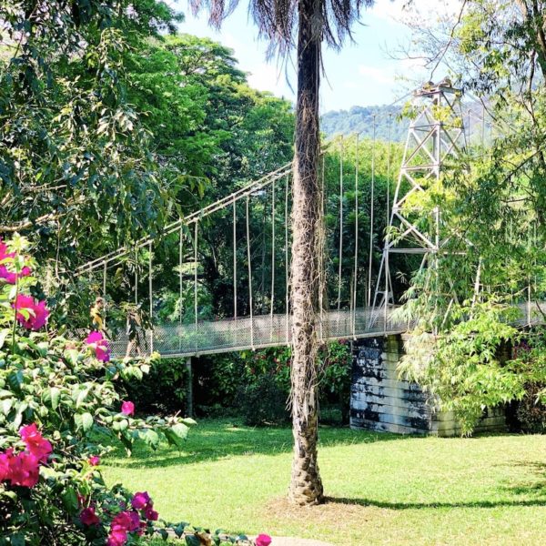 Hängebrücke Royal Botanic Garden Sri Lanka