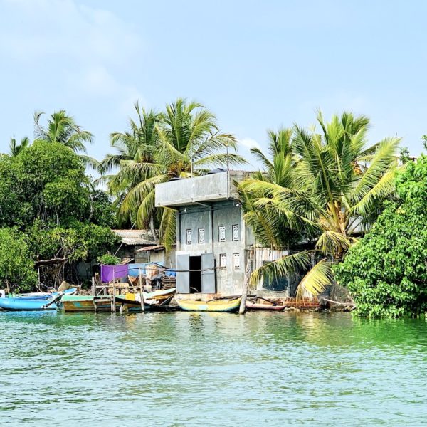 Haus Boote Negombo Lagune