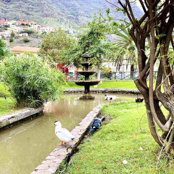 Hermigua Vogelpark