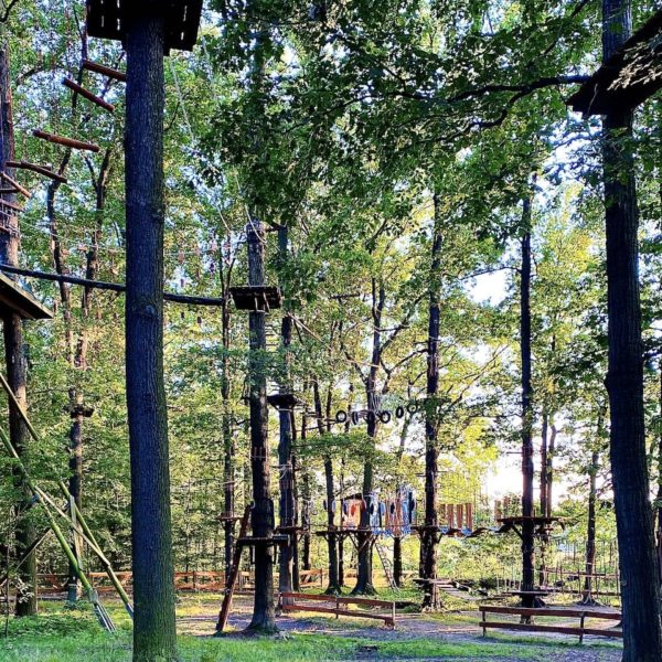 Hochseilgarten am Mittelteich Moritzburg