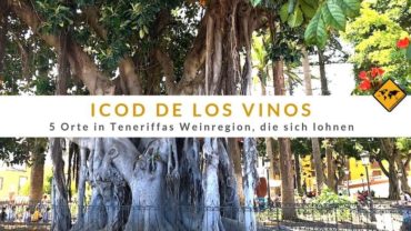 Icod de los Vinos – 5 Orte in Teneriffas Weinregion, die sich lohnen