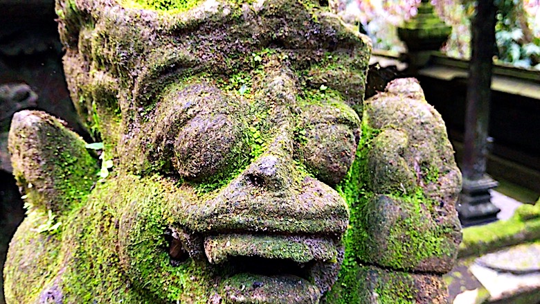 Interessante Orte auf Bali Batukaru Waldtempel