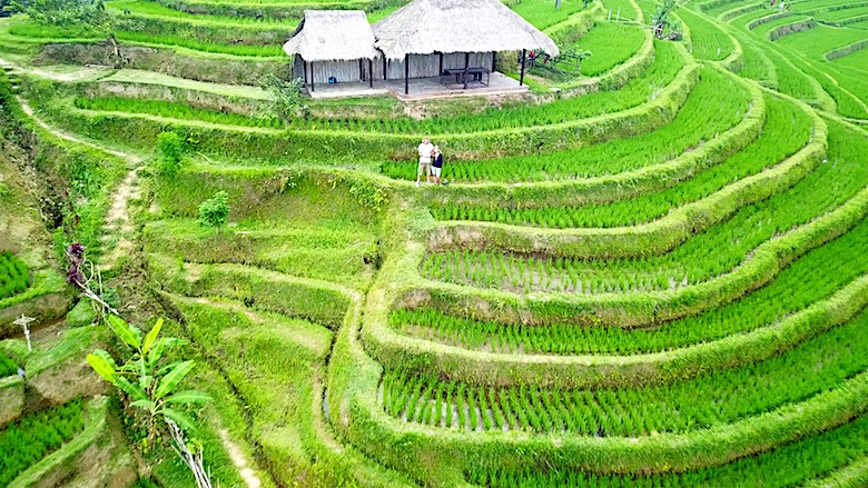 Interessante Orte auf Bali Jatiluwih Reisterrassen