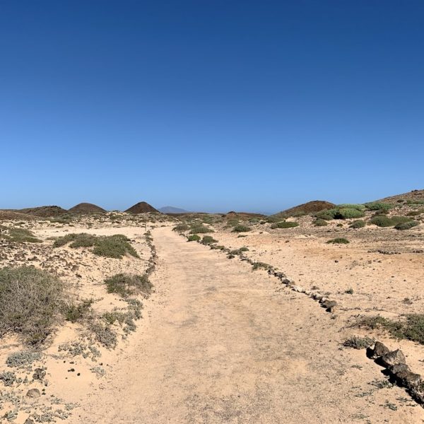 Isla de Lobos Wanderweg