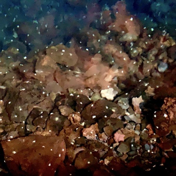 Jameos del Agua Albinokrebse